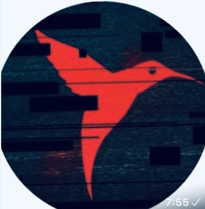 Avatar del usuario