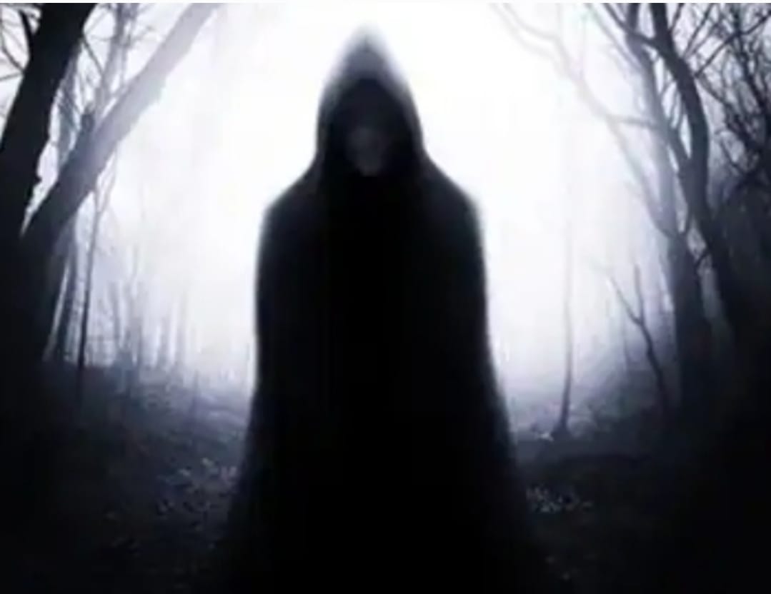 Avatar del usuario