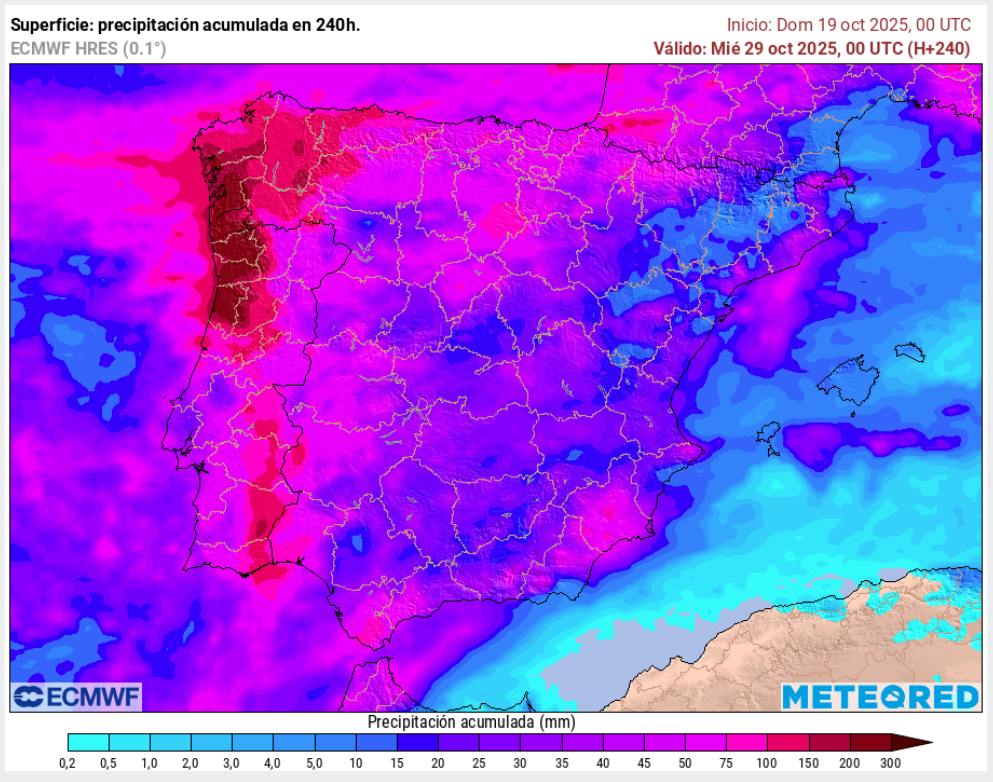 ECMWF