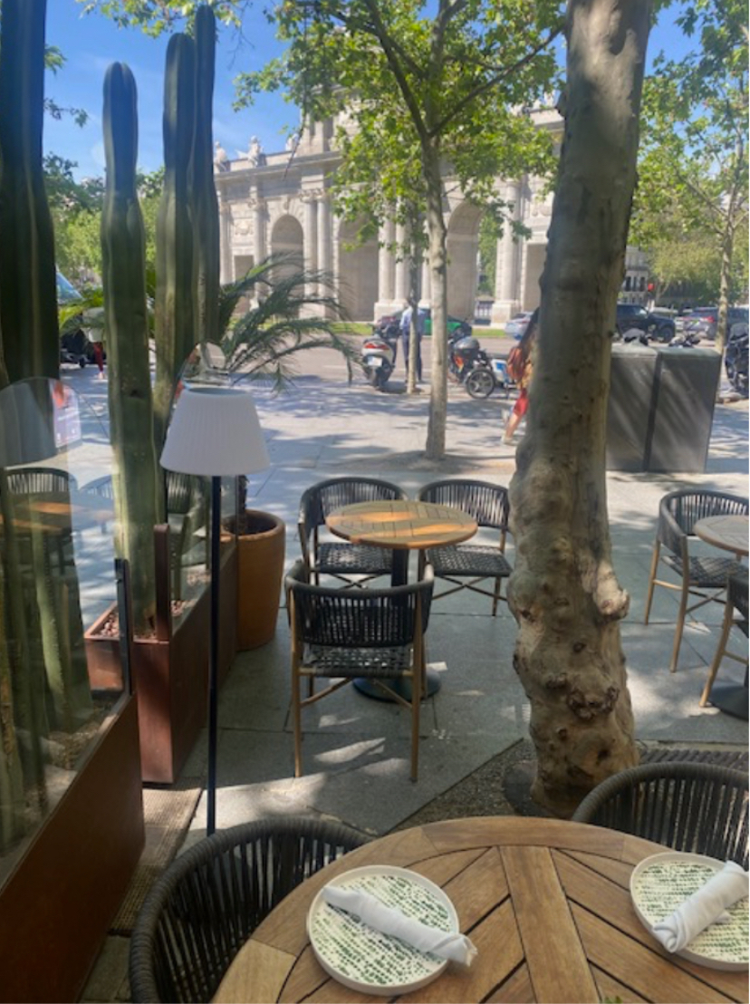 grafico de la accion Grupo Ezentis