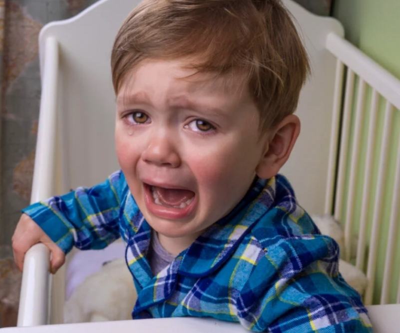 grafico de la accion BIOTECHNOLOGY ASSETS