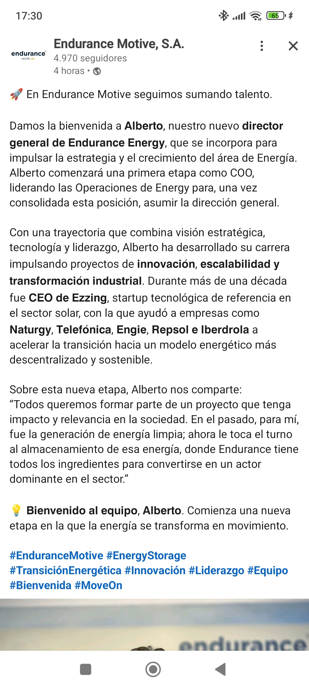 grafico de la accion Endurance Motive