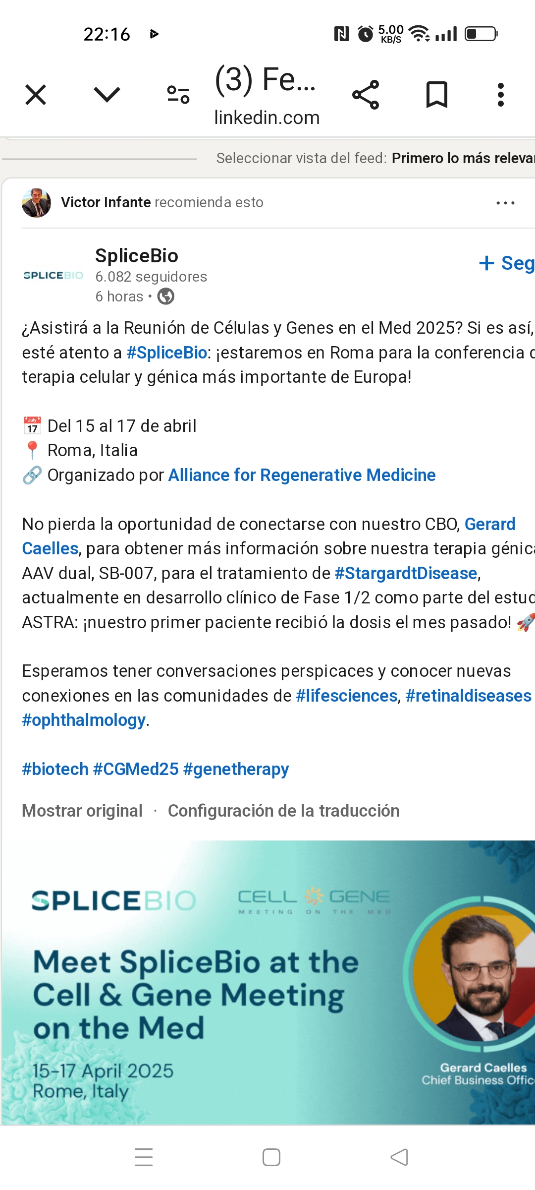 Más madera con splicebio