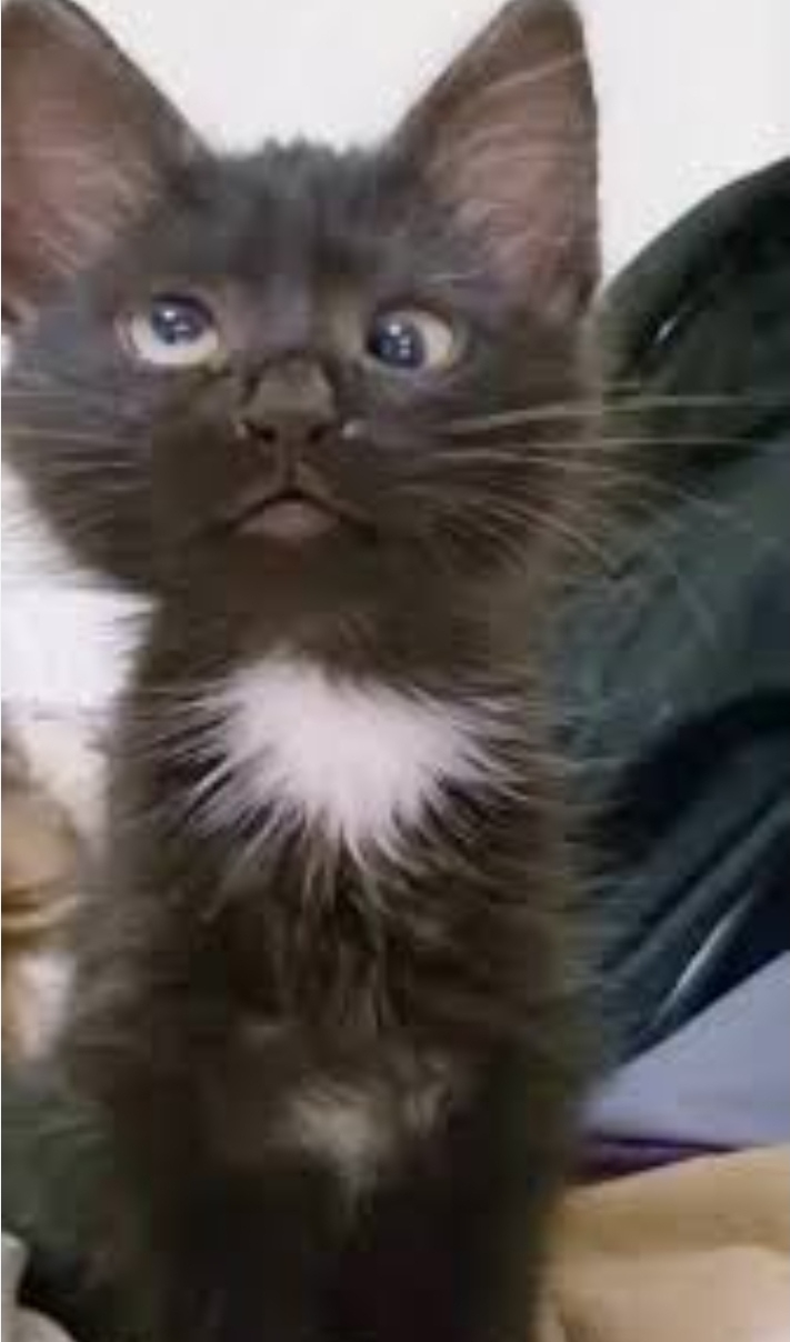 Eeeeeehhh?