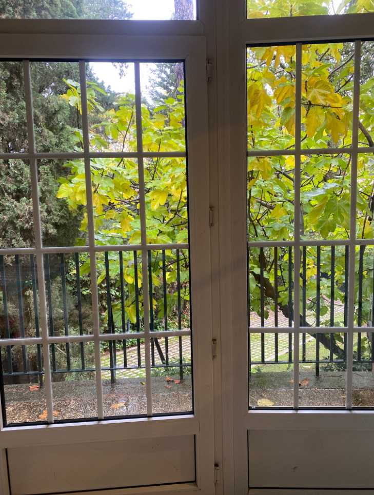 grafico de la accion Grupo Ezentis