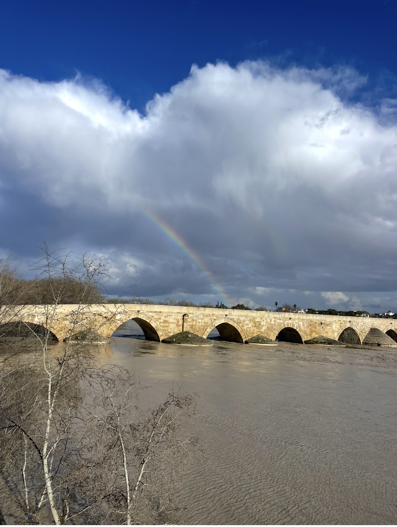 grafico de la accion Airtificial