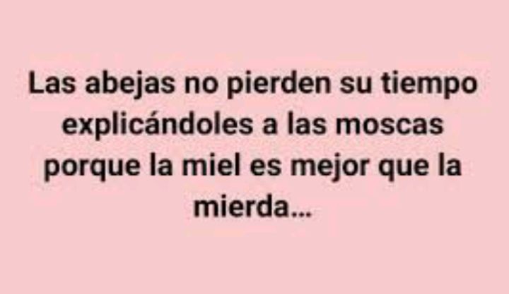 El lema
