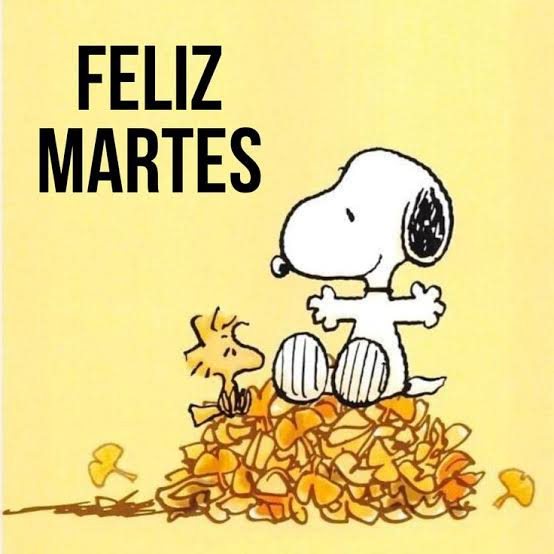 Buenos días.