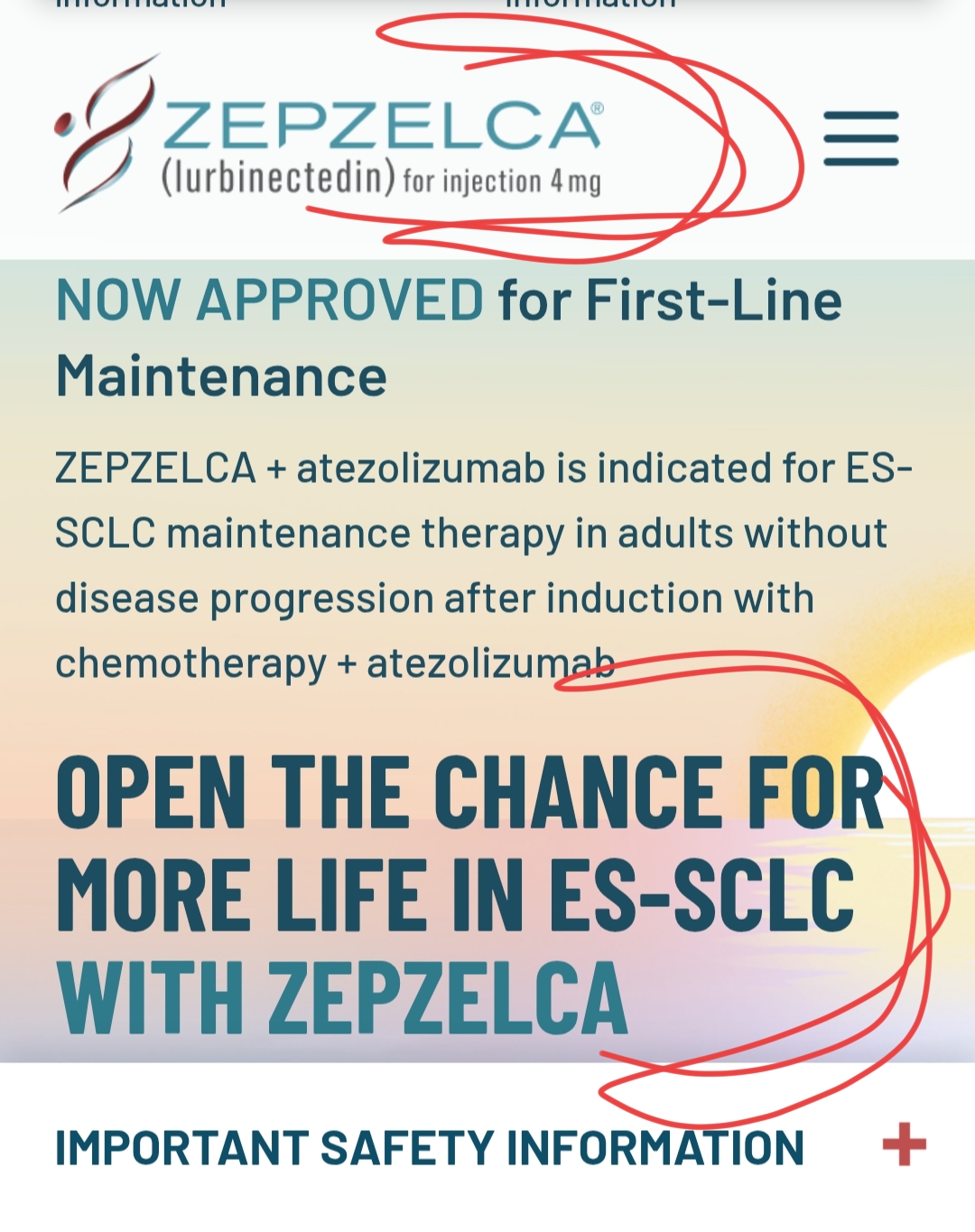 Muy muyy muy chula la nueva pad web OFICIAL DE ZEPZELCA
RENOVADA CON EL OK 1LM
OPEN THE CHANCE FOR MORE LIFE IN ES-SCLC WITH ZEPZELCA