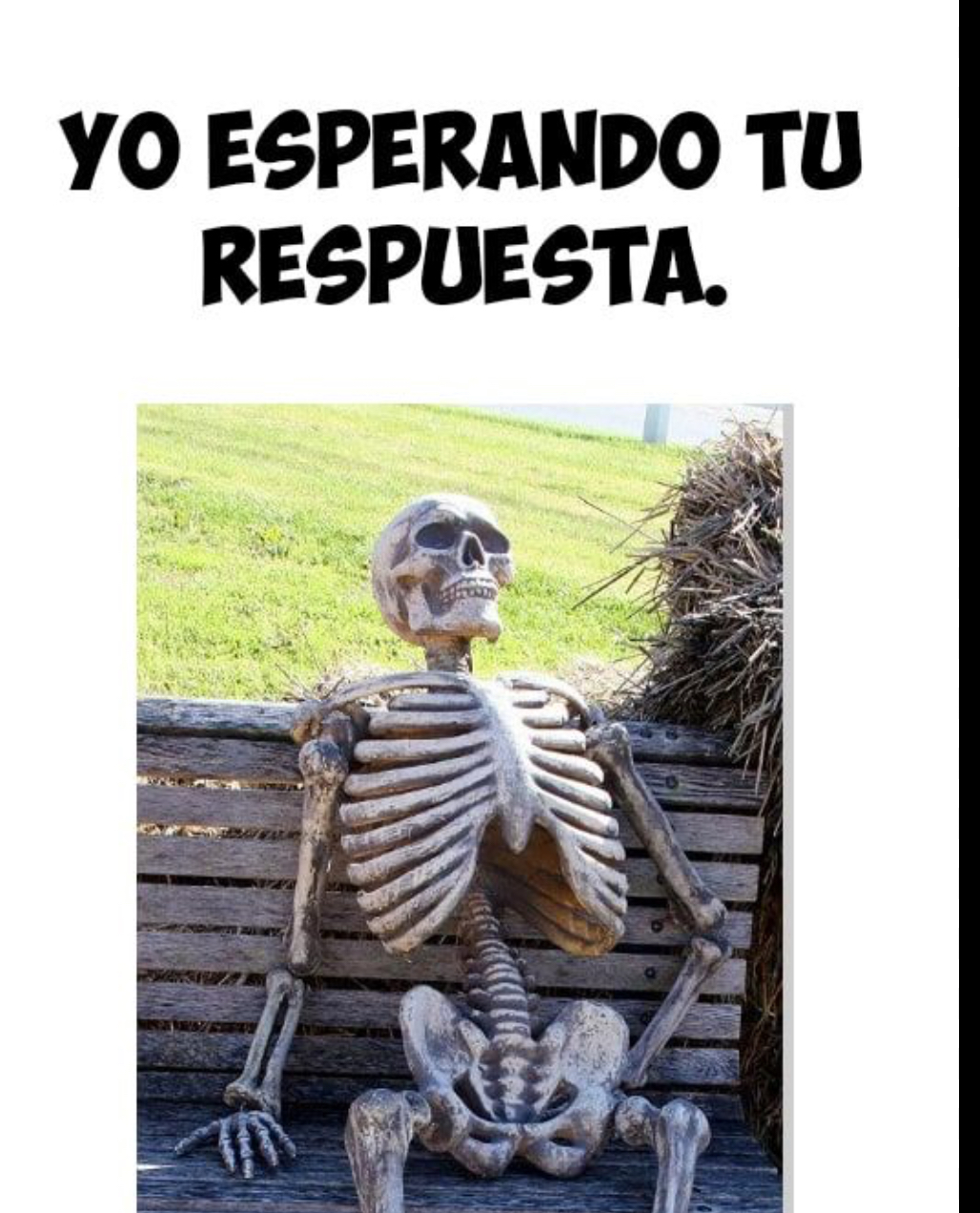 Ainsss