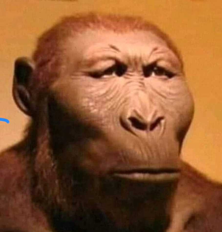 Robert, el 23 de julio ni de coña son los resultados...