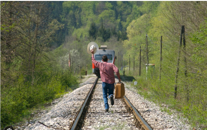 grafico de la accion Vanadi Coffee