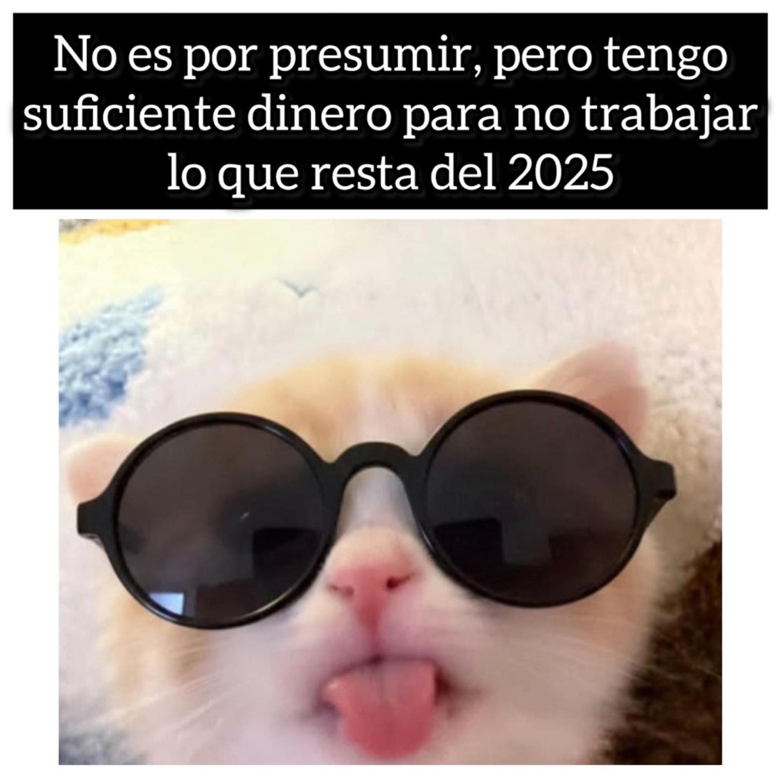 grafico de la accion Pharma Mar