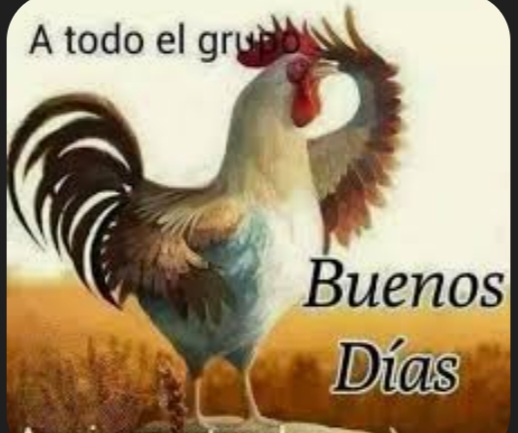 Buen comienzo en verde,a ver si hacemos un cierre semanal en máximos, porque pintan muy bien todos los proyectos que tiene pendientes. <span class="Emo20"> </span>