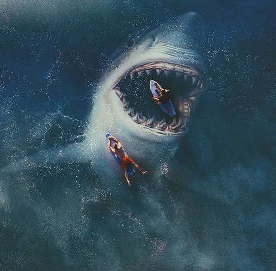 grafico de la accion Grupo San Jose