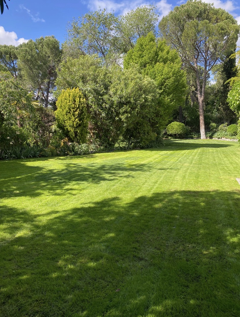 Esta pradera está casi perfecta. Semillar bien da sus frutos. Así será con Eze…