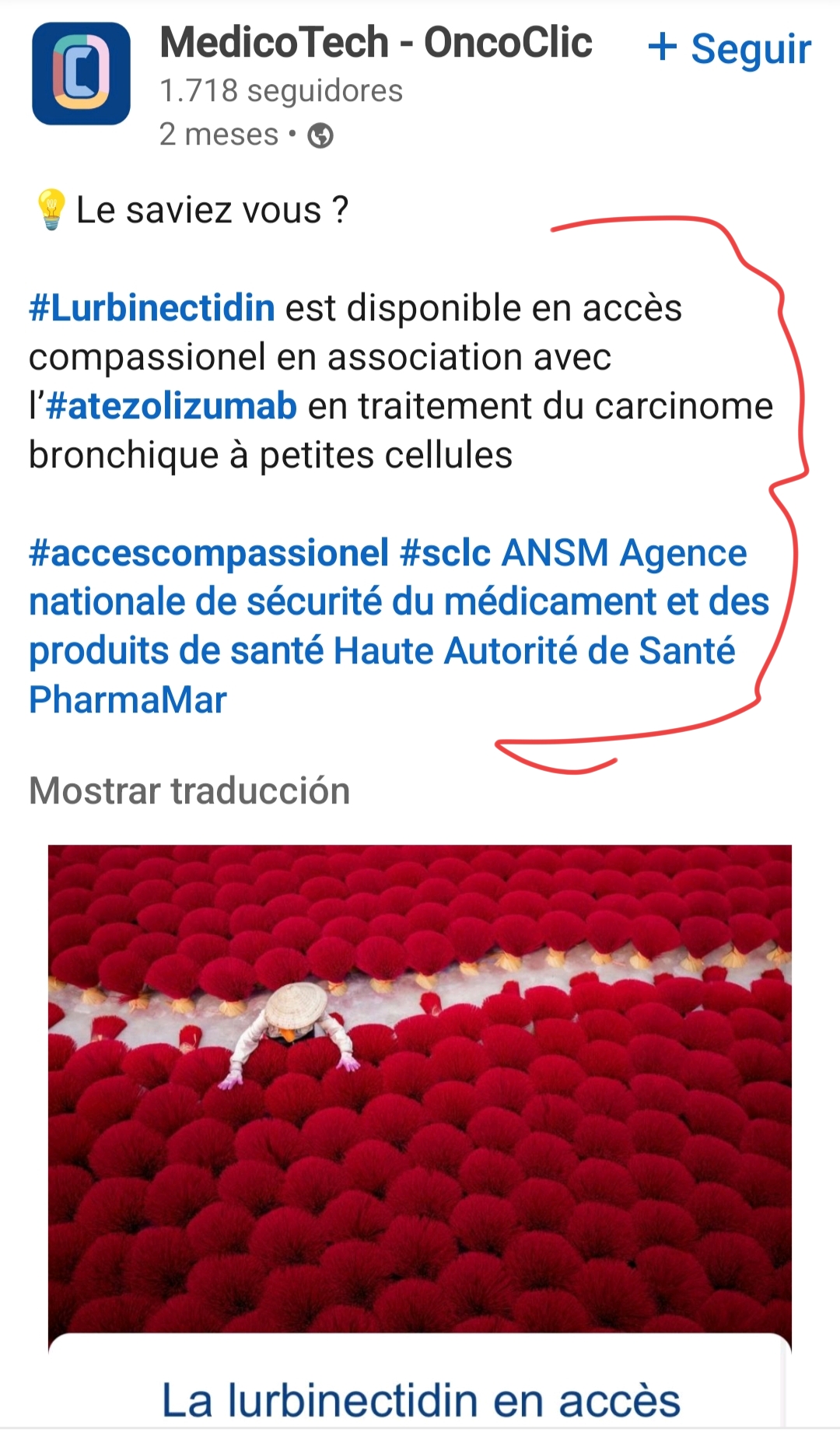 Y eso para RECORDAR , en Francia,..
Le saviez vous ?
Lurbinectidin est disponible en accès compassionel en association avec l"atezolizumab en traitement du carcinome bronchique à petites cellules
#accescompassionel sclc ANSM Agence nationale de sécurité du médicament et des produits de santé Haute Autorité de Santé PharmaMar
Y estoy esperando la entrada en el acceso anticipado que viene siendo como un ok anticipado en Francia