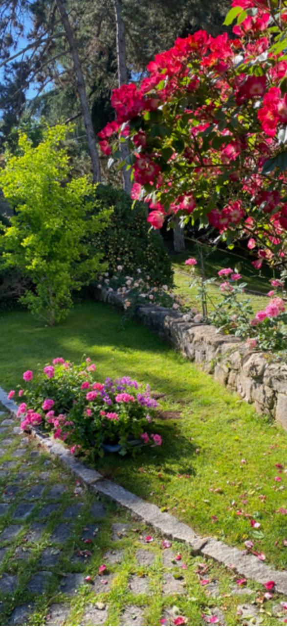Y no hay amor carnal que no vaya acompañado de flores del jardín de Murry