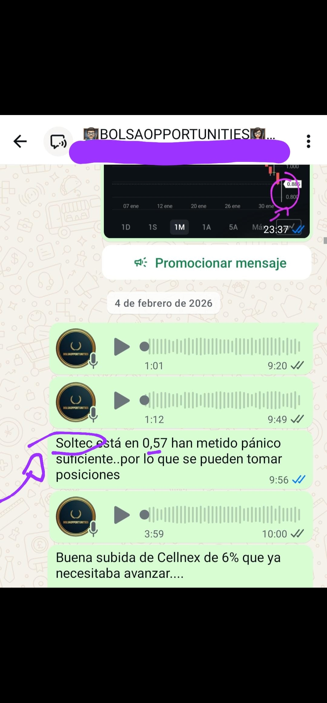 grafico de la accion Soltec