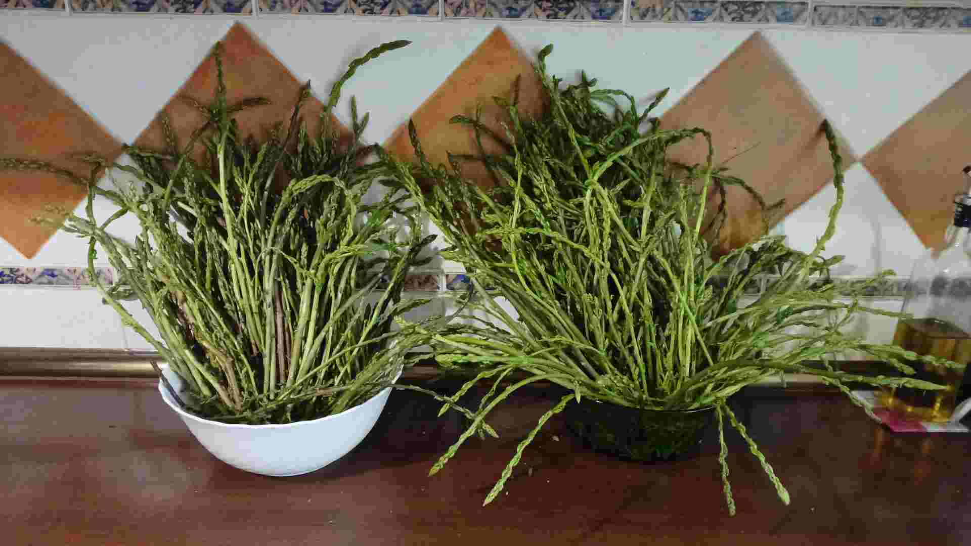 grafico de la accion Oryzon Genomics