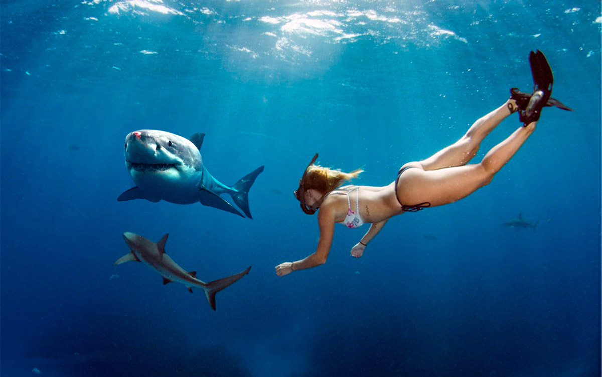 grafico de la accion Grupo San Jose