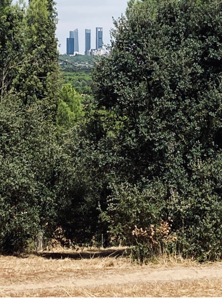 Hemos venido con las bicis a entrenarnos para la subida a la Cuesta de las Perdices. Está todo muy seco y cortaron la hierba al cero