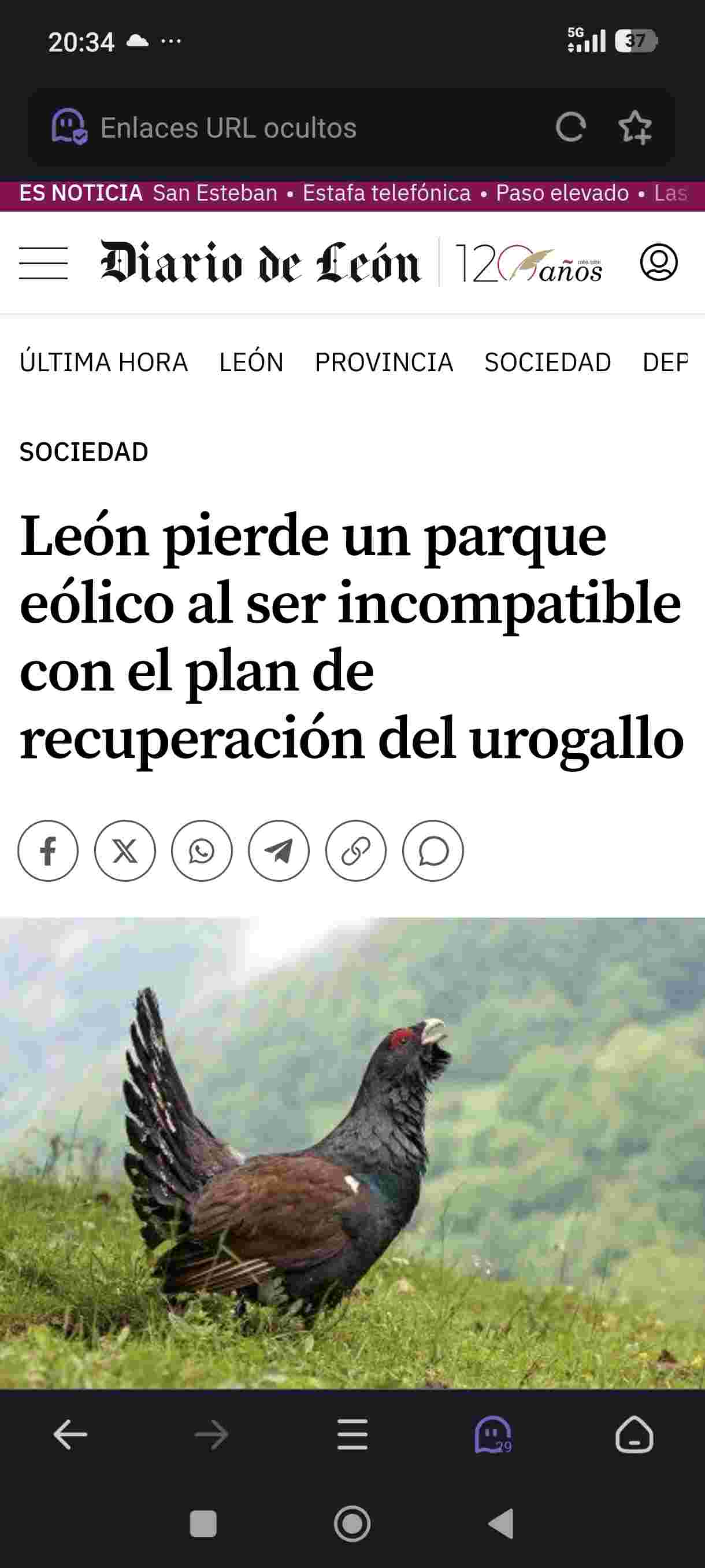 https://www.diariodeleon.es/sociedad/260804/2093227/leon-pierde-parque-eolico-incompatible-plan-recuperacion-urogallo.html
@waskaman he vuelto a buscar lo de garoña y lejos de encontrarlo me he topado con esto..
Suma y sigue y ya van...en fin..