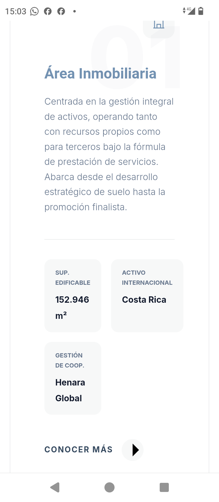 Este es un buen activo de nyesa