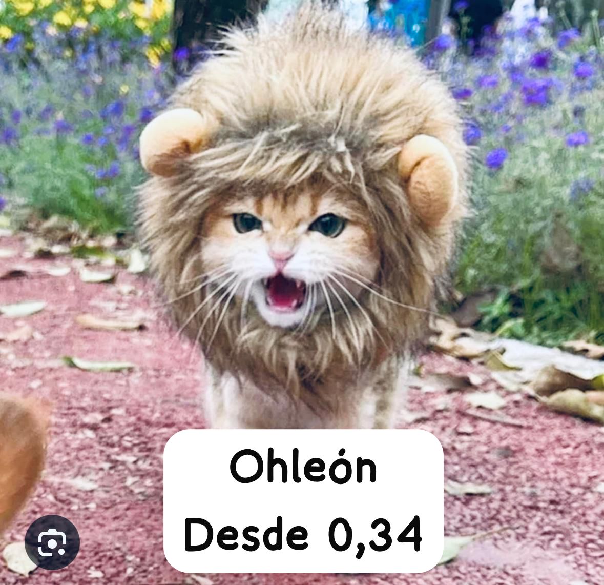 grafico de la accion OHL