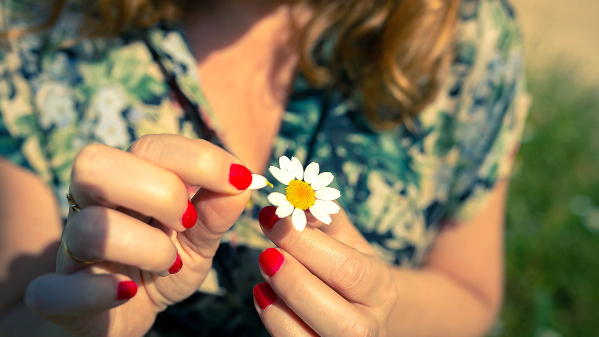 Me quiere, no me quiere, me quiere, no me quiere....