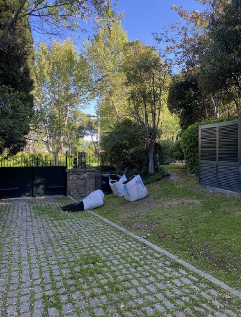 grafico de la accion Grupo Ezentis