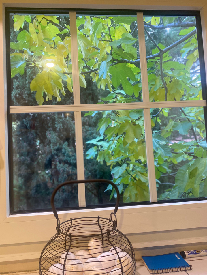 grafico de la accion Grupo Ezentis