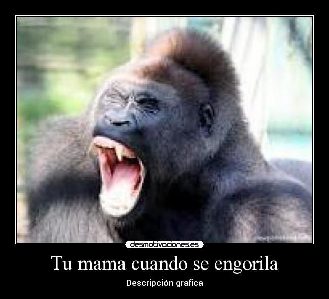 Se va a engorolar!