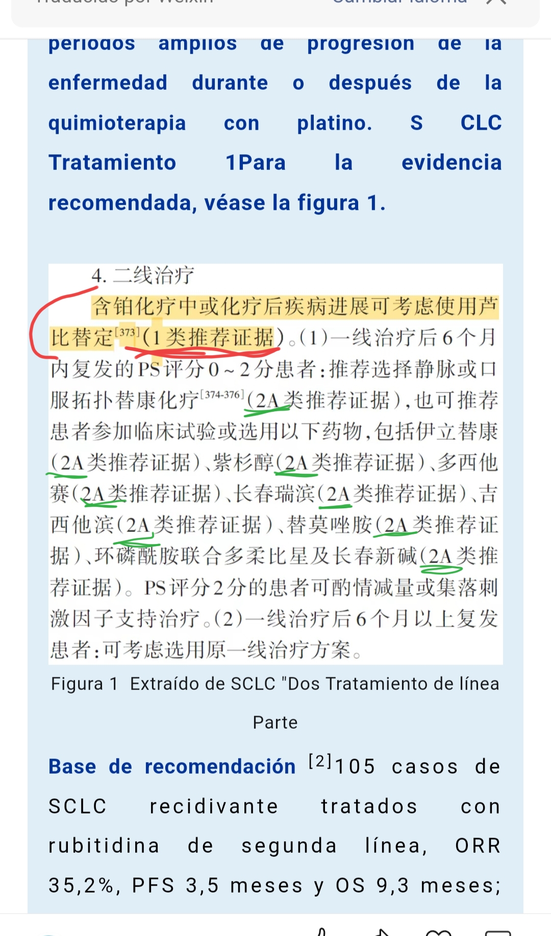 En los enlaces te lo explican y aquí en este copiado se ve la max categoría que le dieron a Lurbi y se ven las calificaciones inferiores de los otros tt de segunda línea .