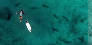 grafico de la accion Grupo San Jose