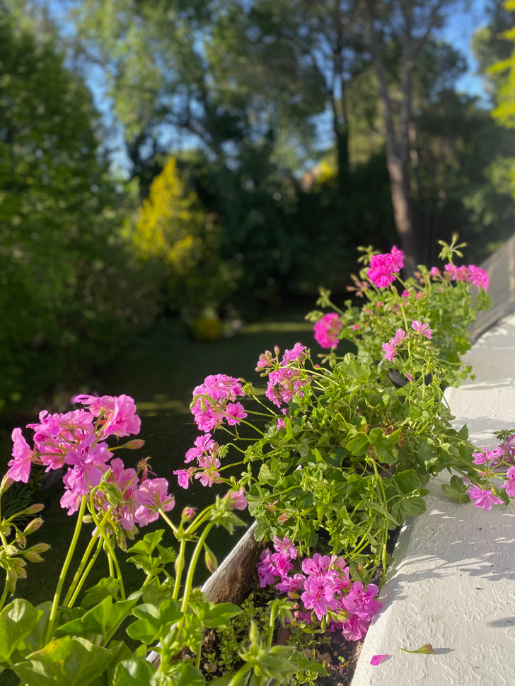 Esta es la segunda jardinera. Quedan diez todavía