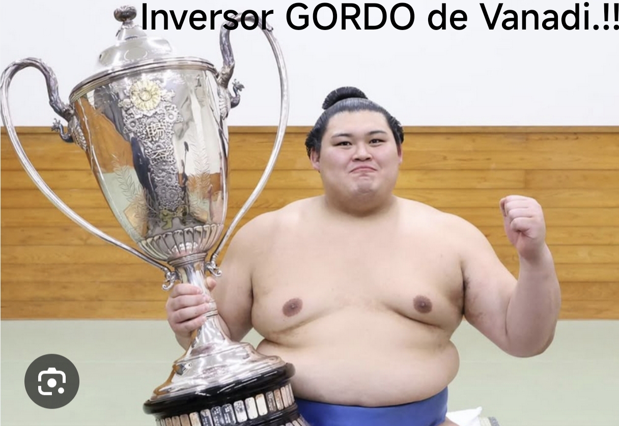 grafico de la accion Vanadi Coffee