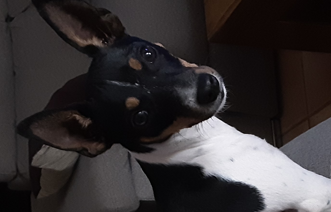 Nos están observando
