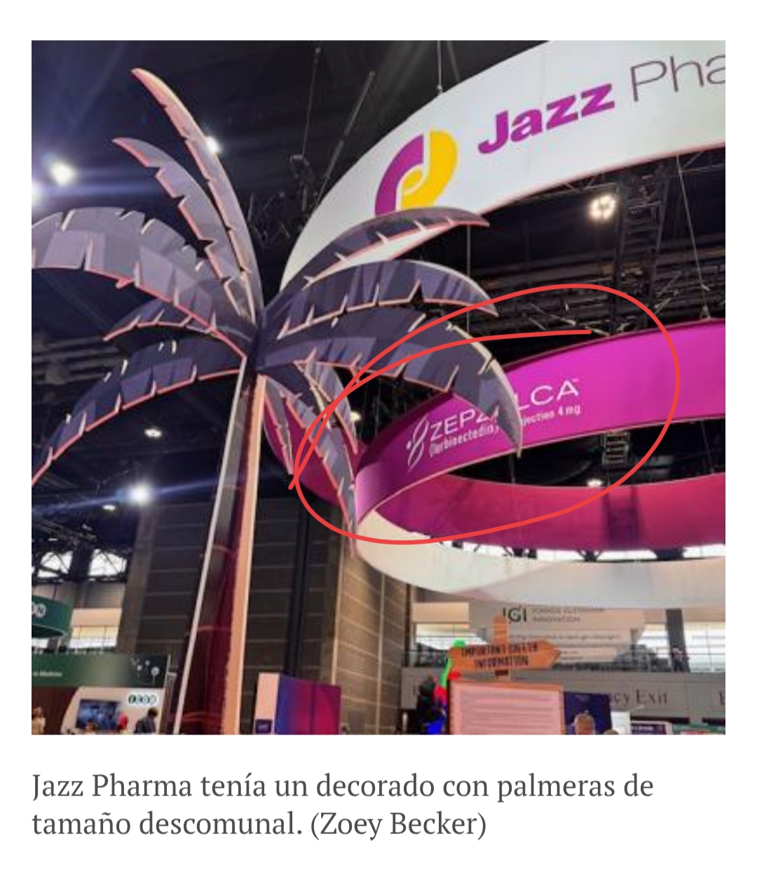 Muy guay el puesto de Jazz en Asco ..a modo circular ..con ZEPZELCA en fucsia ...a zepzelca lo presentaron como en una playa...y con un puesto de granizados,..esa palmera es para el tema de zepzelca en la playa ..por eso yo relaciono mucho Jazz con Hawai jjjj, pues por ahí va la cosa..playa y palmeras