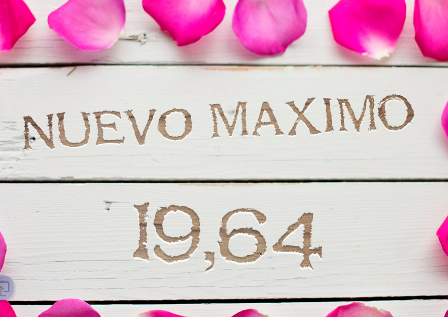 grafico de la accion Neinor Homes