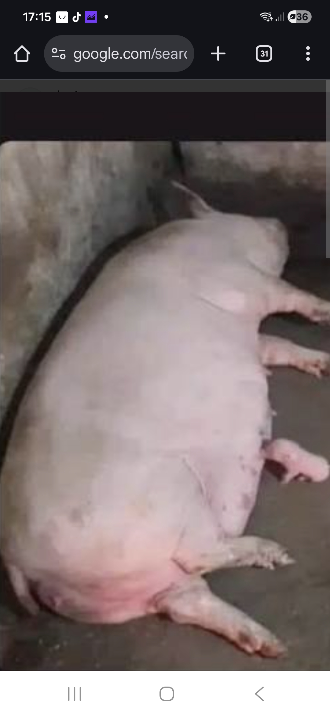 grafico de la accion Grifols A