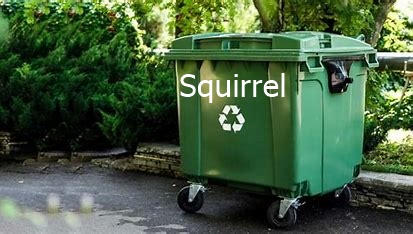 Archivo de las adquisiciones de Squirrel