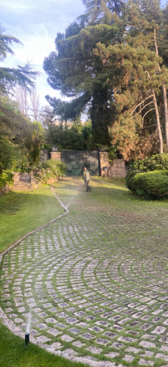 Angelete: hoy le comenté a mi jardinero que en los años que se ocupa de mi jardín jamás ha escrito algo de la gravedad de “Pallasete”, prueba de que eres un pardillo. Ahí le tienes revisando aspersores…