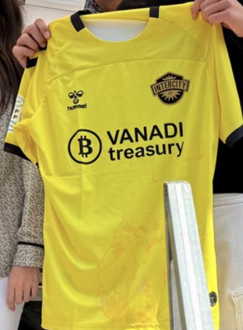 grafico de la accion Vanadi Coffee