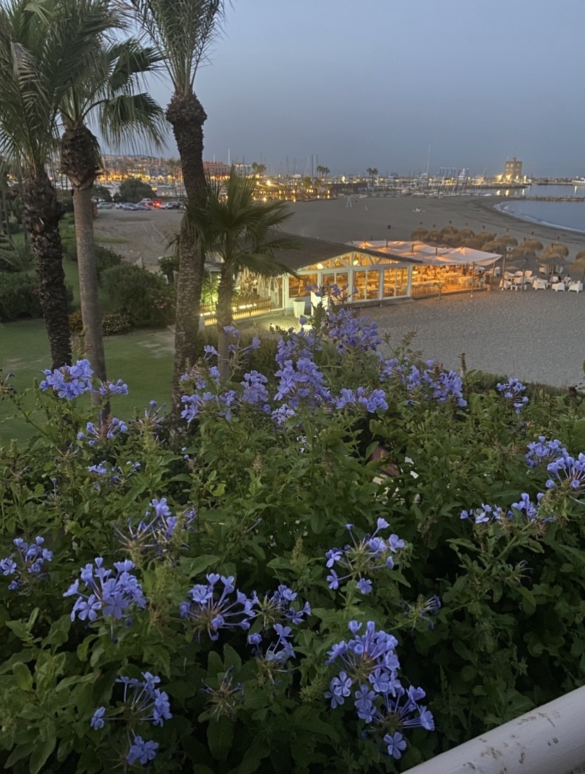 Prin: de verdad que me preguntaron lo de Pereiro ahí abajo, en ese restaurante de verano, y lo negué como si él fuese un buen amigo. Y dieron por buena mi respuesta. Me apostaría una caja de Murrietas a que Pereiro no pertenece a ninguna mafia y que ya está pensando en fechas para el inicio de la gran subida