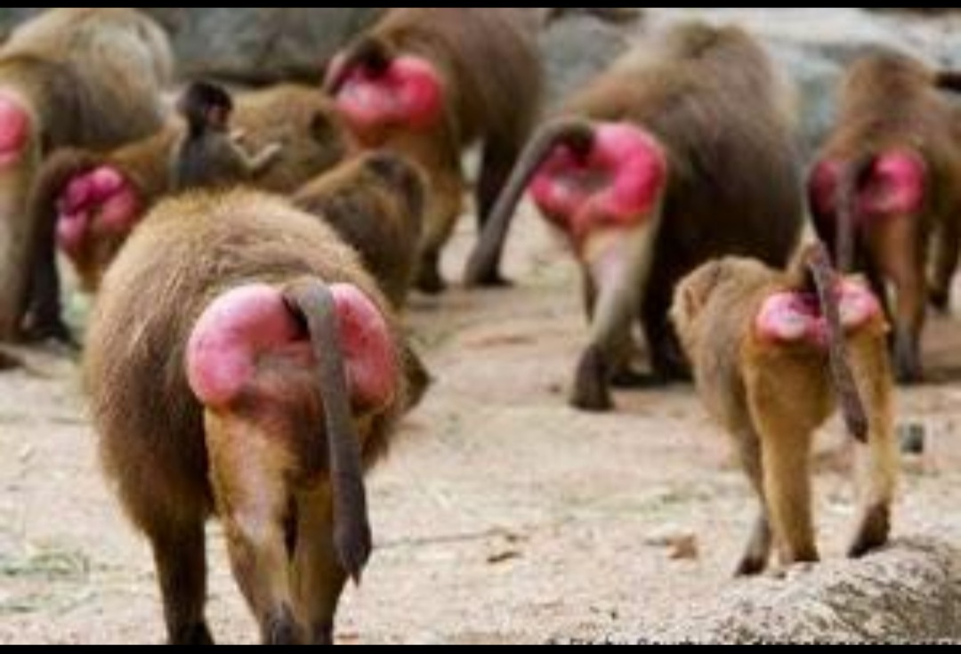 grafico de la accion Duro Felguera