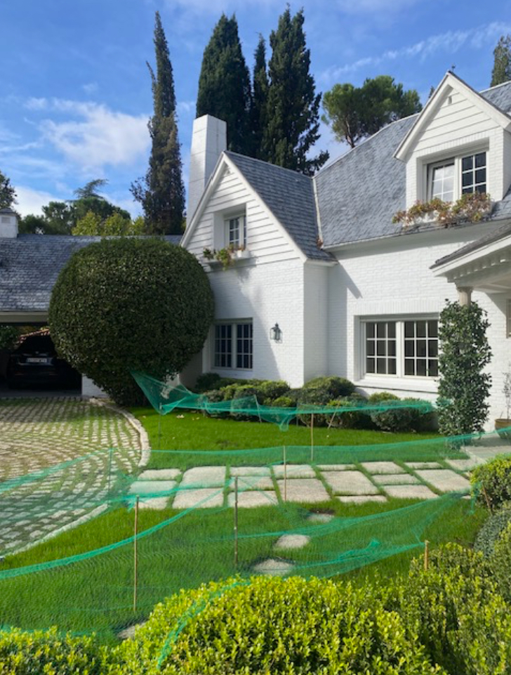 grafico de la accion Grupo Ezentis