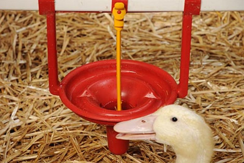 grafico de la accion Deoleo